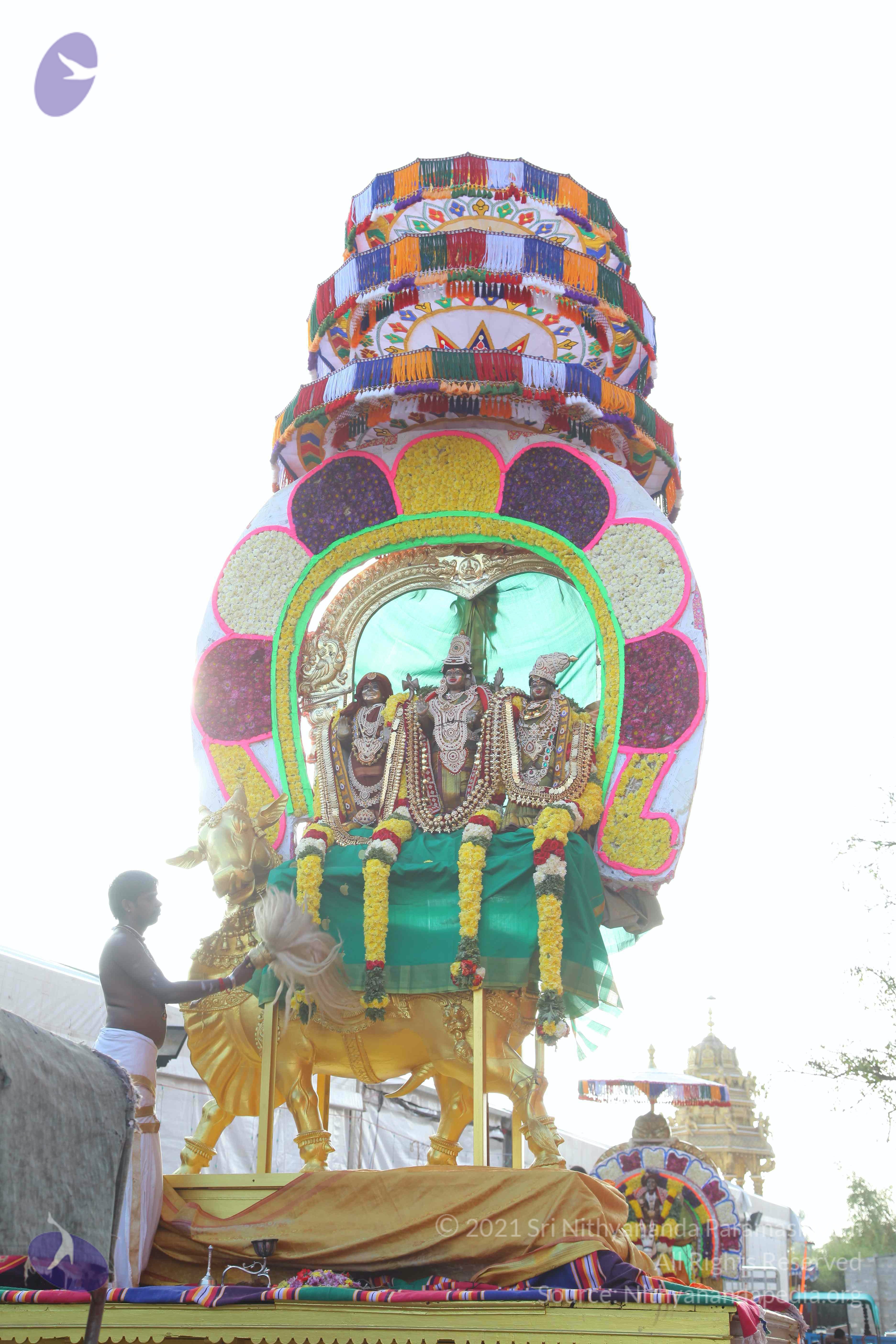 20161204_Photo_1010_IMG_3292_CMP_WM